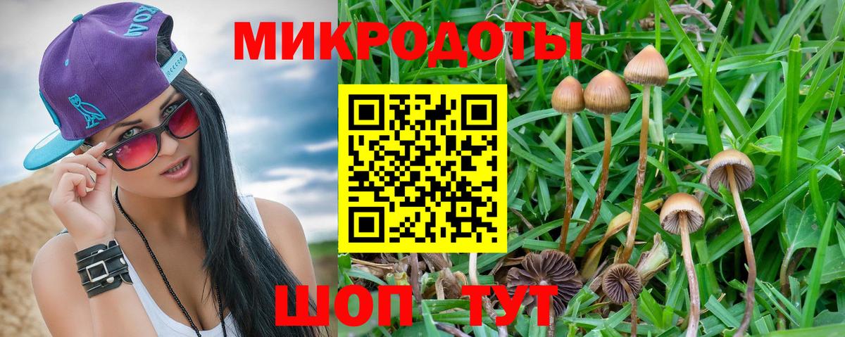 Ирбит  Псилоцибиновые грибы GOLDEN TEACHER  Вход с VPN 